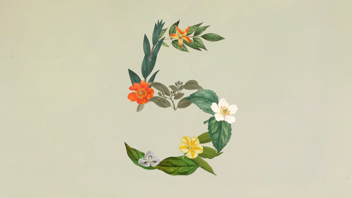 El número 5 formado por flores y hojas de láminas botánicas vintage sobre fondo verde crema — portada de Claude Sonnet 5 y los agentes más baratos para empresas de LATAM por Diego Ceredi