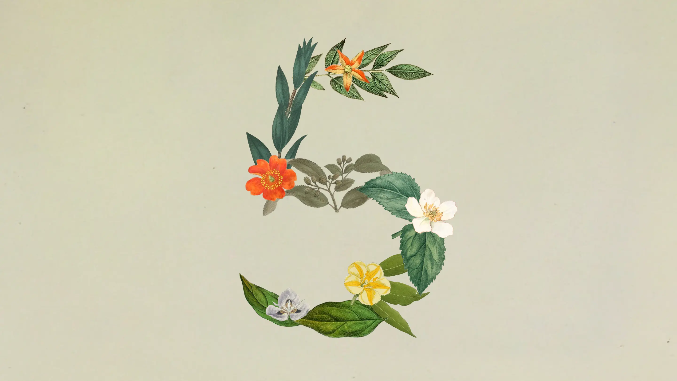 El número 5 formado por flores y hojas de láminas botánicas vintage sobre fondo verde crema — portada de Claude Sonnet 5 y los agentes más baratos para empresas de LATAM por Diego Ceredi