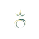 Logo de Seedance AI